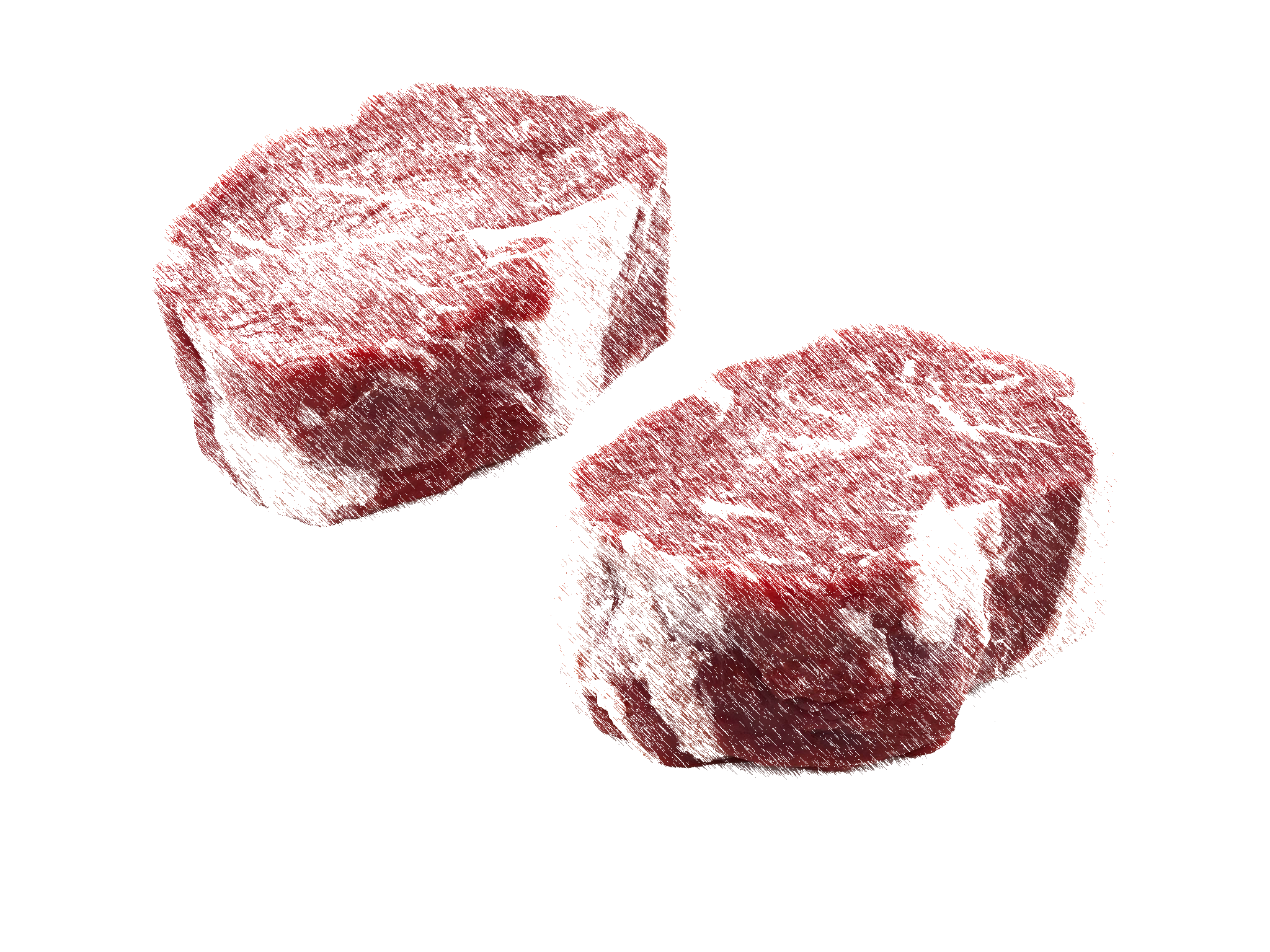 RibeyeFiletcopy.png