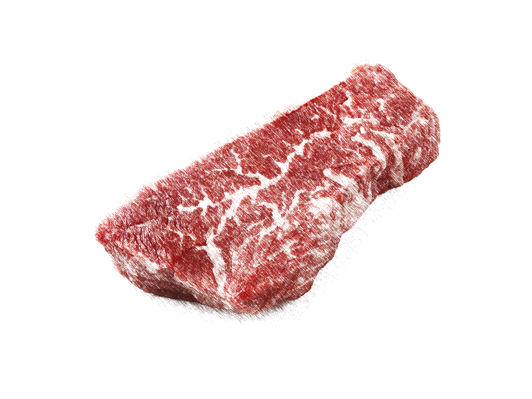 Tri-TipSteakcopy.png